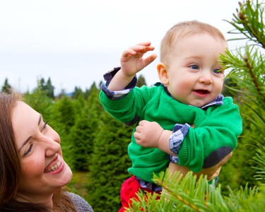 Kids Orlando: Christmas Tree Farms - Fun 4 Orlando Kids