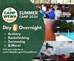 Check out Camp Wewa for Day and Overnight Summer Camp options