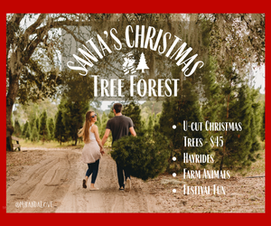 Mark your calendars for November 22-December 20th and visit Santa's Christmas Tree Farm