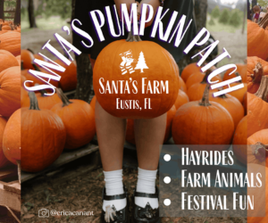 Santa's Pumpkin Patch 