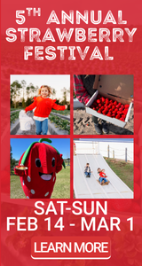 Don't miss Amber Brooke Farms Strawberry Festival February 14-March 1st!