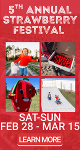 Amber Brooke Farms Strawberry Fest and UPick