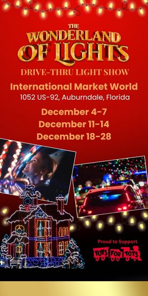 Wonderland of Lights