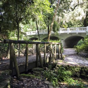 Orlando's Dickson Azalea Park