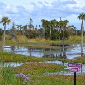 Orlando's Wetlands Park