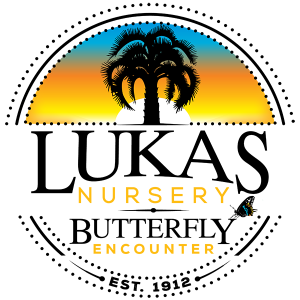 Lukas Nursery and Butterfly Encounter