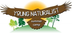 Mead Gardens Young Naturalist Summer Camp
