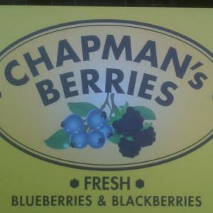 Chapman's Berries