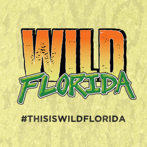 Wild Florida Florida Resident Specials