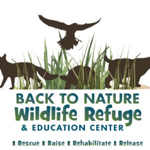 Back to Nature’s FREE Wildlife Walk for Qualified Workers