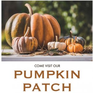 10/15-10/30 CPUMC's Pumpkin Patch