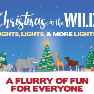 Zoo Tampa's Christmas in the Wild