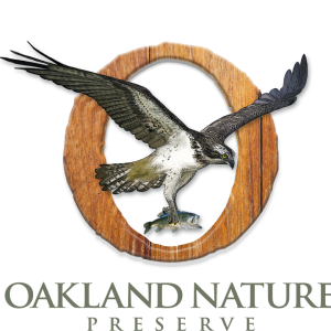 Oakland Nature Preserve's Summer Camps