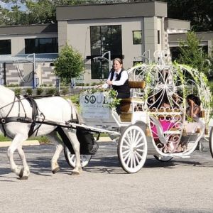 02/14 Soul Haven Ranch’s Valentine Carriage Rides