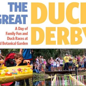 Mead Garden's Great Duck Derby