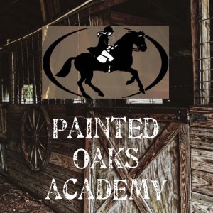Painted Oaks Academy Pony