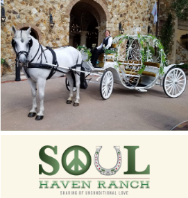Soul Haven Ranch