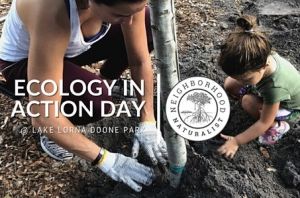 Ideas for Us Ecology in Action & Naturalist Nature Days