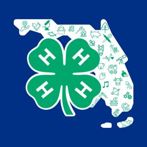 4-H Youth Programs