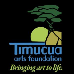 Timucua Arts Foundation Works with Sounds Class