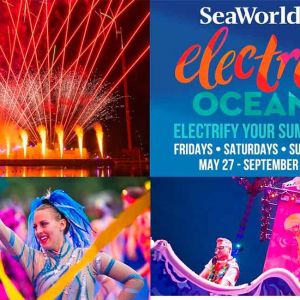 07/01-07/04 Seaworld Orlando's 4th of July Electric Ocean