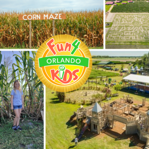 Corn Mazes & Farm Fun