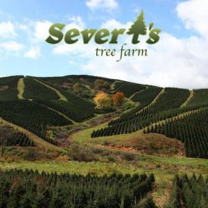 Severt's Tree Farm