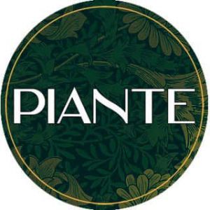 Piante Design Studio