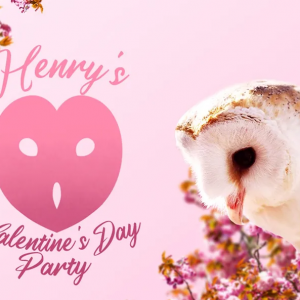 Avian Center for Birds of Prey Valentine's Party