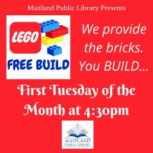 Maitland Public Library's Lego Club