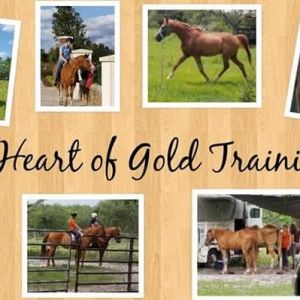 Heart of Gold Training