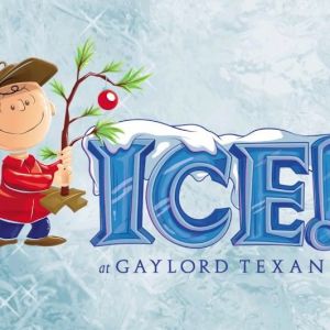 Gaylord Palms ICE!