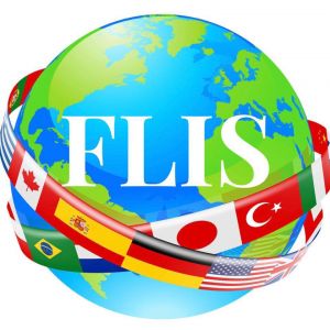 Foreign Language Immersion School