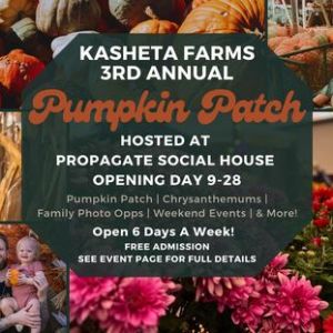 Kasheta Farm's Pumpkin Patch