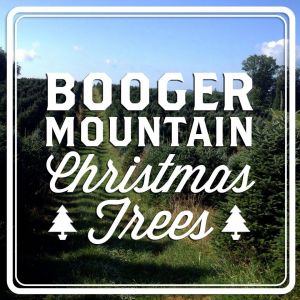 Booger Mountain Christmas Trees