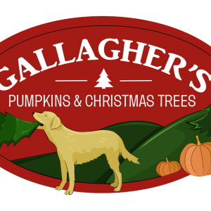 Gallagher's Pumpkins & Christmas Trees