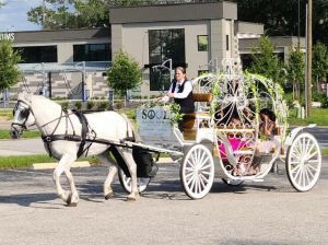 Soul Haven Ranch's Mothers Day Carriage Rides