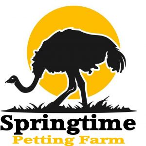 Springtime Farms Ag-Venture Experience