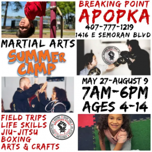 Breaking Point Martial Arts Summer Camp