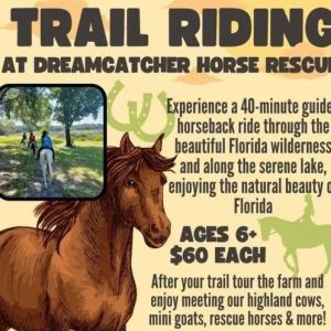 DreamCatcher Horse Rescue