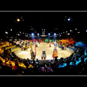 Medieval Times Dinner & Tournament Save up to 20%