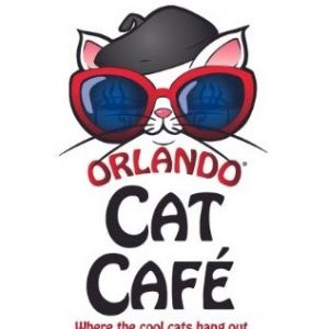 Orlando Cat Café