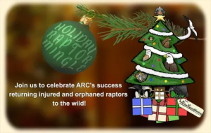 ARC's Holiday Raptor Mingle