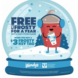 Wendy’s 365 Days of Frosty Treats