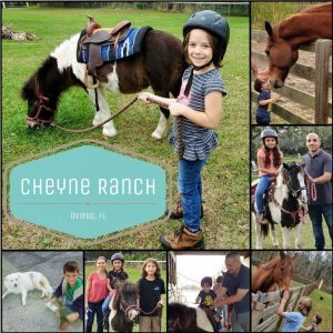 Cheyne Ranch