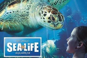 SEALIFE Orlando Aquarium's Military Discount