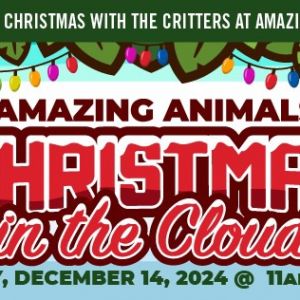 Amazing Animals Christmas in the Cloud