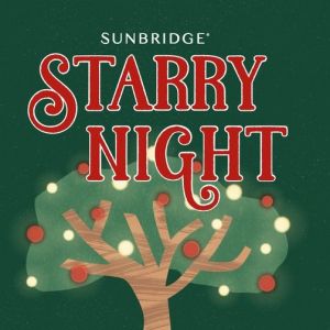 Sunbridge's Starry Night