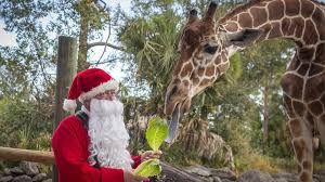 Brevard Zoo's Jolly Days