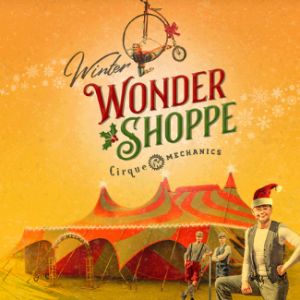 Dr. Phillips Center presents Winter Wonder Shoppe